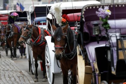Nueva York prohibirá carruajes de caballos desde 2028