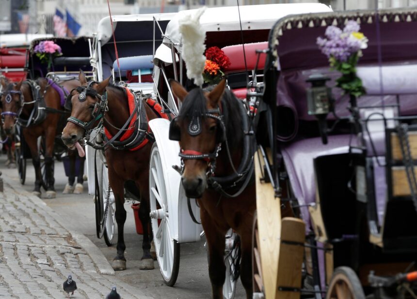 Nueva York prohibirá carruajes de caballos desde 2028