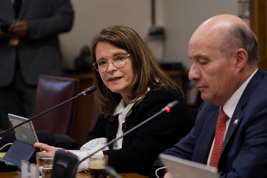 Cecilia Cifuentes urge reformas laborales junto al Plan Chile Despega