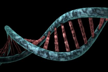 IA española detecta envejecimiento en células madre sanguíneas