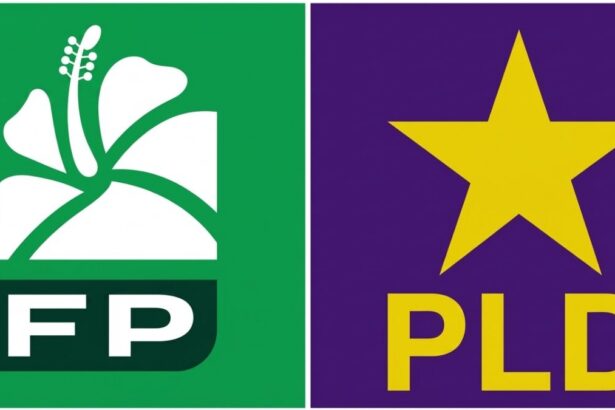 Alianza FP-PLD podría superar al PRM en elecciones 2028