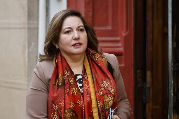 Vodanovic rechaza recorte a presupuesto regional en Chile 2027
