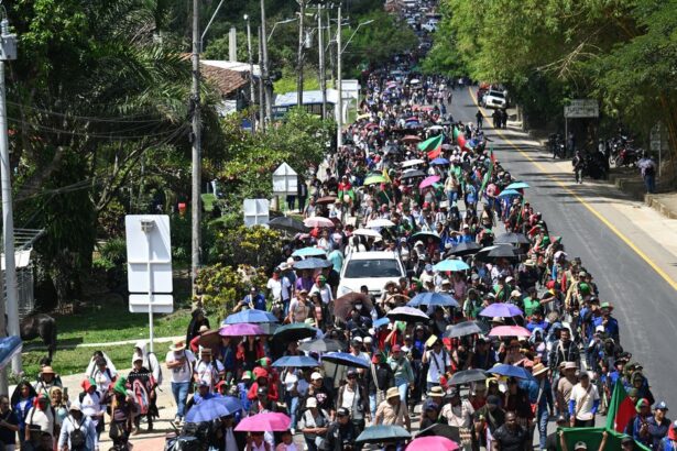 Indígenas del Cauca rechazan control estatal de sus guardias