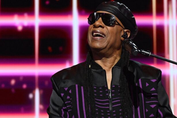Stevie Wonder demanda desalojo de ex pareja en mansión de Hollywood