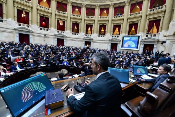 Argentina: oposición a siete votos de derogar decreto de tierras