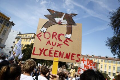Francia suspende granadas policiales tras lesión a estudiante