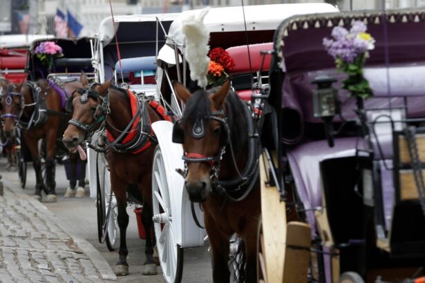 Nueva York prohibirá carruajes de caballos desde 2028